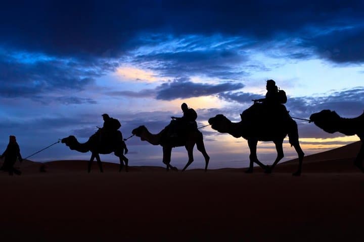 2-Day Zagora Desert Private Trip from Marrakech: Overnight in the Draa Oasis photo 6