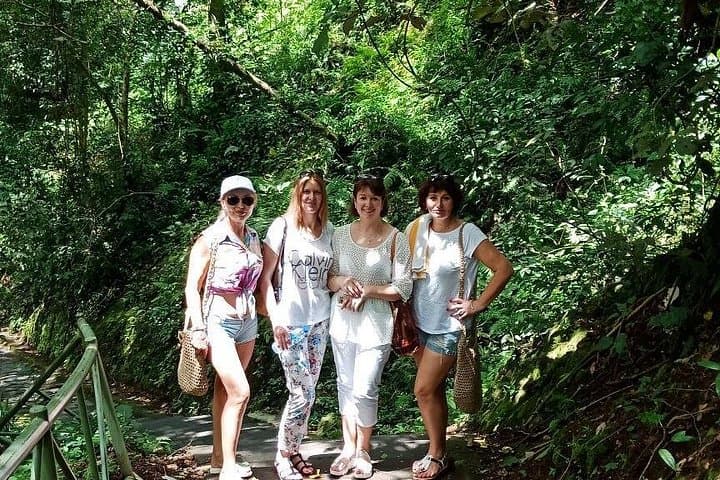 Senaru North Waterfall Tour: Tiu Kelep & Sendang Gile Jungle Hike photo 4