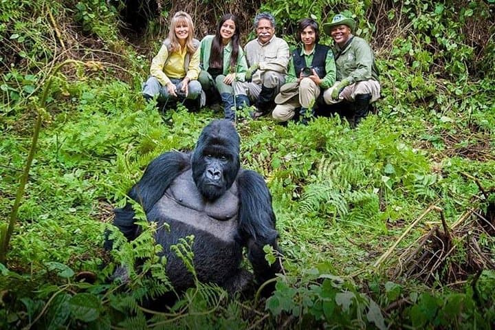 7-Day Rwanda Gorilla Trek, Bisoke Hike & Nyungwe Colobus Safari photo 2