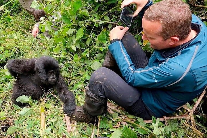 7-Day Rwanda Gorilla Trek, Bisoke Hike & Nyungwe Colobus Safari photo 3