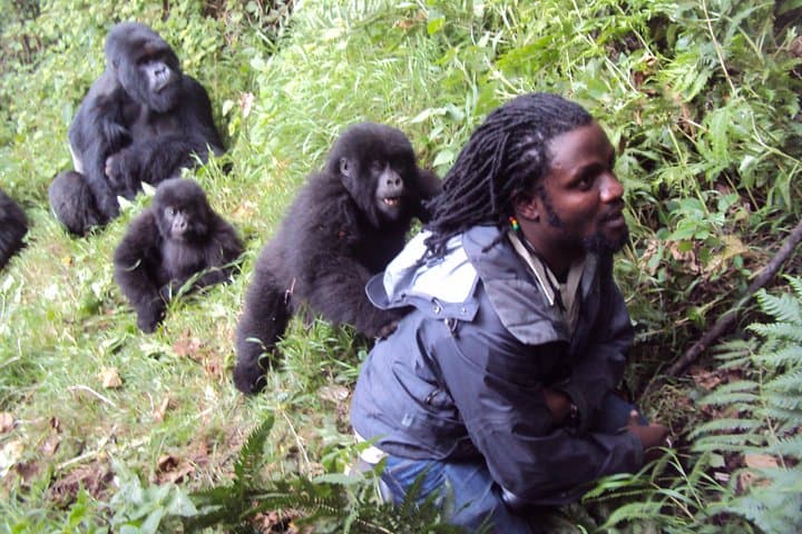 7-Day Rwanda Gorilla Trek, Bisoke Hike & Nyungwe Colobus Safari photo 4