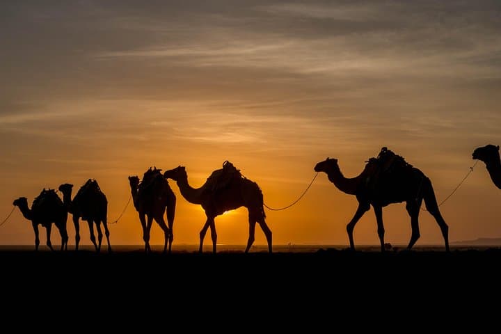 Erta Ale & Dallol 6-Day Adventure: Trek the Living Volcano and Danakil Depression photo 5
