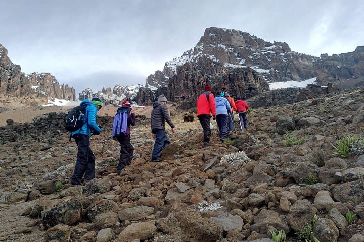 Rongai Route on Mount Kilimanjaro: A Clear, Wild Ascent from the North-East photo 4