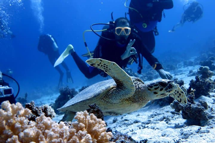 Hurghada Red Sea: Daily Two-Tank Guided Dive with Equipment photo 2