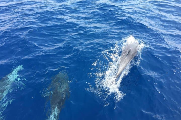 Private Coast-to-Coast Sailing from Rhodes: Snorkel Kallithea, Anthony Quinn & Afandou photo 4