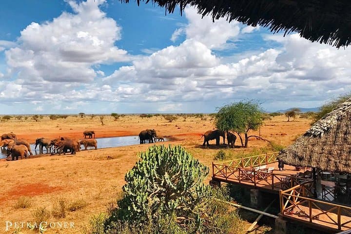 3-Day Tsavo East & Ngutuni Safari from Mombasa — Ngutuni Lodge & Game Drives photo 1