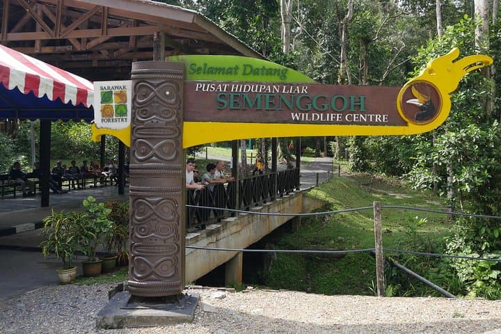 Semenggoh Wildlife Centre Orangutan Encounter — Day Tour from Kuching photo 6