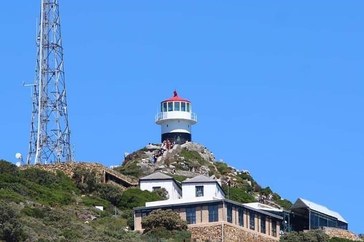 Full-Day Cape Peninsula Tour — Cape Point, Chapman's Peak & Boulders Penguin Colony