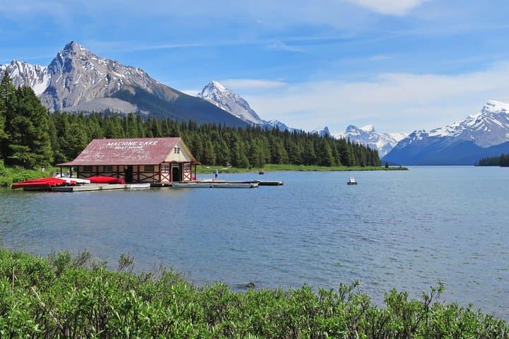Jasper Maligne Lake Wildlife and Sightseeing Tour with Lakeshore Hike photo 5