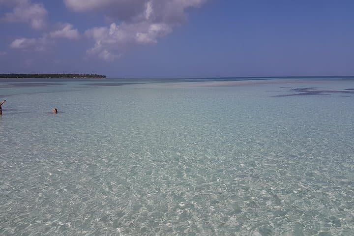 Buccoo Reef & Nylon Pool Boat Tour — Snorkel Buccoo Reef and Swim in the Nylon Pool photo 6