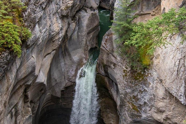 Jasper Maligne Valley Wildlife Tour with Maligne Lake Cruise to Spirit Island photo 3