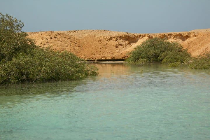 Ras Mohamed Day Trip from Sharm el-Sheikh: Snorkel Pristine Reefs & Coastal Desert Views photo 2