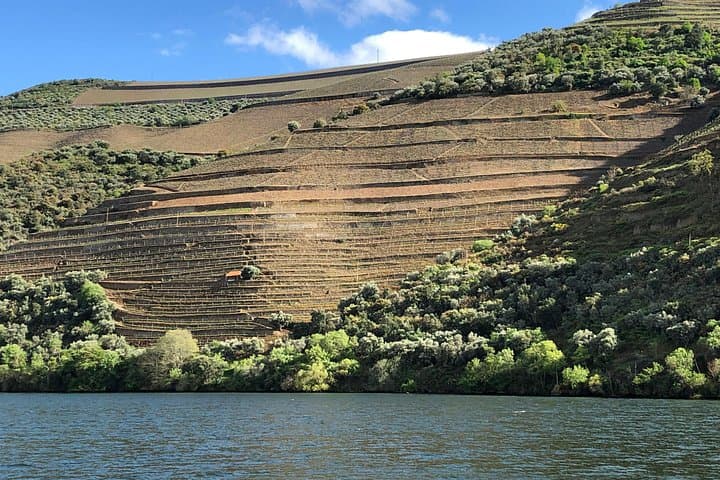 Douro Valley Private Wine Tour: Port & Douro DOC Tastings, Boat Ride & Lunch photo 2