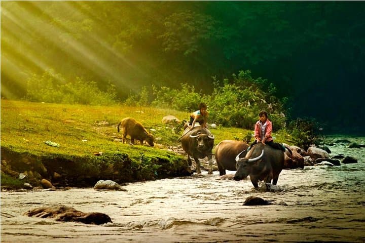 Mai Chau & Pu Luong 3-Day Cultural Trek: Rice Terraces, Homestays & Village Life