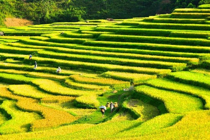 Mai Chau & Pu Luong 3-Day Cultural Trek: Rice Terraces, Homestays & Village Life photo 4