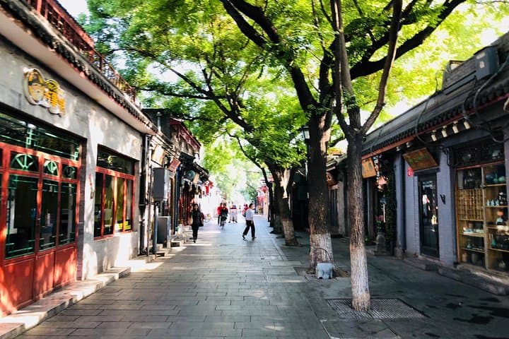 Beijing Private Dim Sum Tour: Hutongs, Dumplings & Skyline Bites photo 3