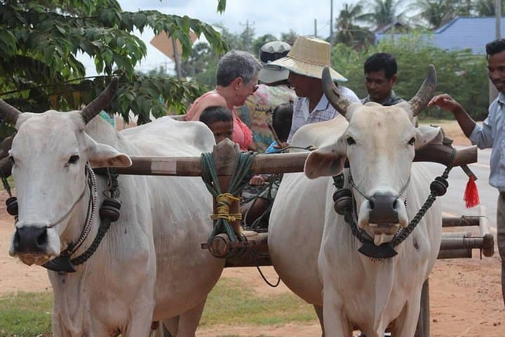 Ox‑cart Culture Tour: Rural Siem Reap Village Ride and Market Walk