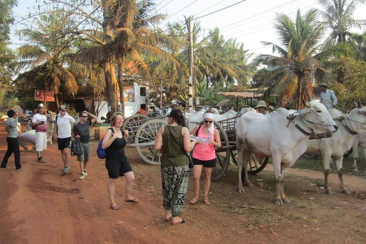 Ox‑cart Culture Tour: Rural Siem Reap Village Ride and Market Walk photo 2