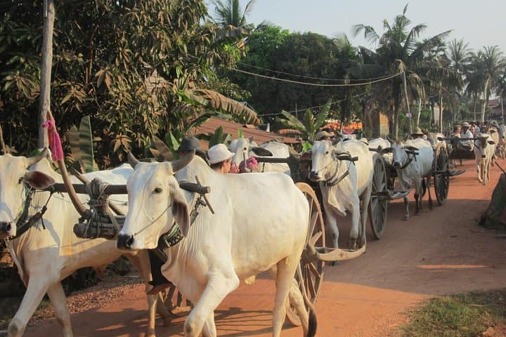 Ox‑cart Culture Tour: Rural Siem Reap Village Ride and Market Walk photo 4