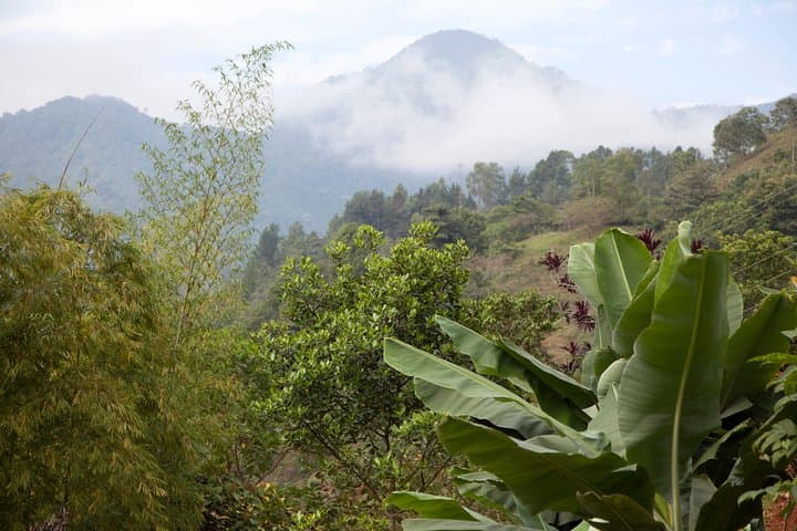 3-Day Nature Adventure from Cali: Permaculture, Jungle Hikes & Waterfall photo 2