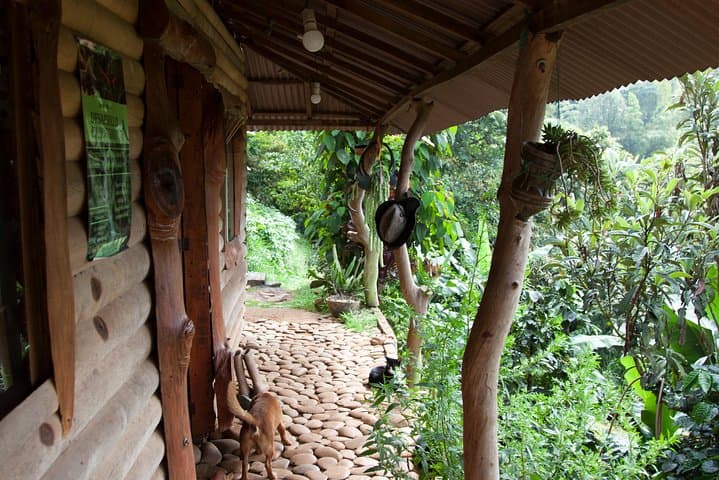 3-Day Nature Adventure from Cali: Permaculture, Jungle Hikes & Waterfall photo 4