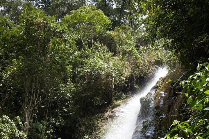3-Day Nature Adventure from Cali: Permaculture, Jungle Hikes & Waterfall photo 6