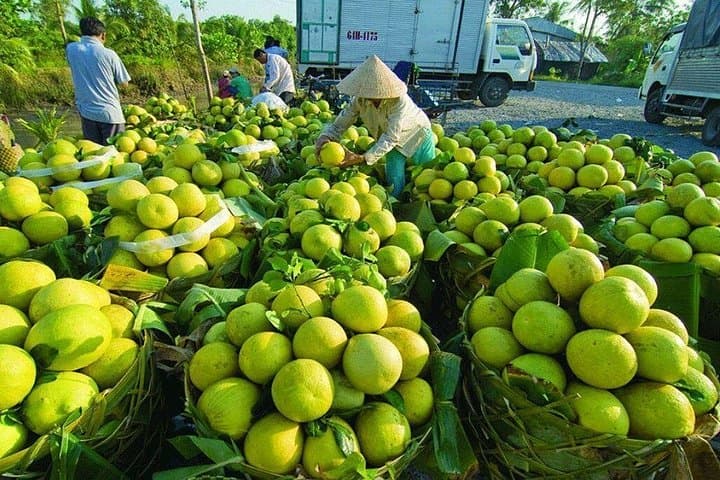 Mekong Delta Day Cruise: My Tho & Ben Tre Sampan, Orchards & Local Music photo 3