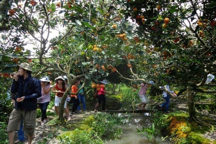 Mekong Delta Day Cruise: My Tho & Ben Tre Sampan, Orchards & Local Music photo 4
