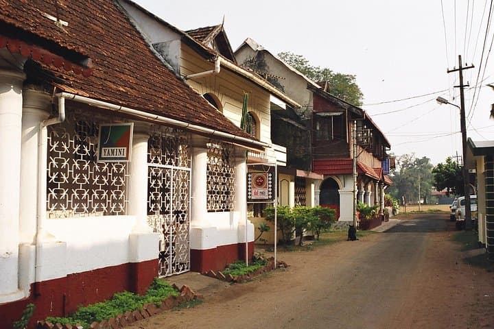 Kerala Backwaters Houseboat & Beach Tour: Kochi, Periyar, Alleppey & Kovalam photo 4