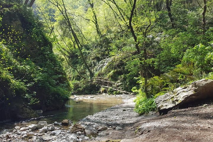 Ferriere Waterfalls Hike: Amalfi Coast's Forested Gorge and Hidden Pools