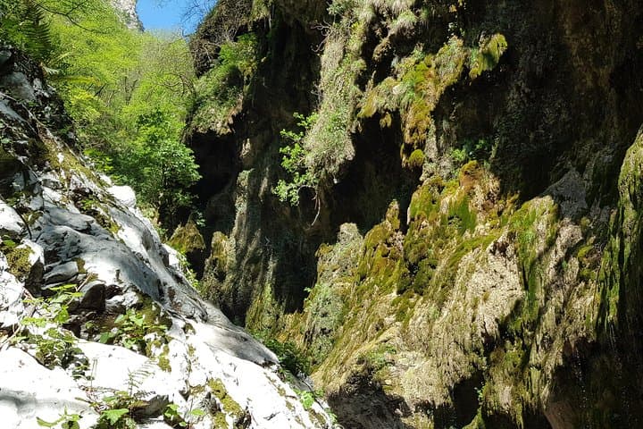 Ferriere Waterfalls Hike: Amalfi Coast's Forested Gorge and Hidden Pools photo 2