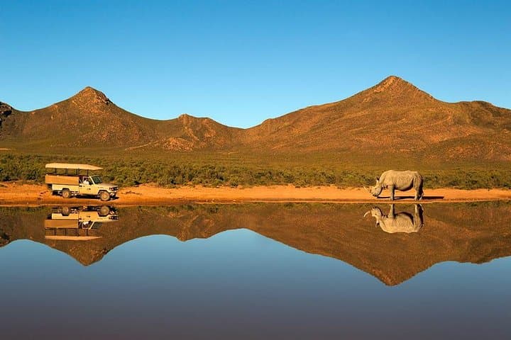 cape-town-city-pass-complete-guide-hop-on-hop-off-table-mountain-wine-cruises photo 6