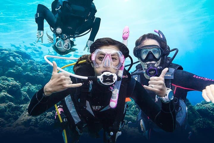 Sosúa Bay Two-Tank Dive for Certified Divers — Reefs, Wrecks & Caverns photo 2