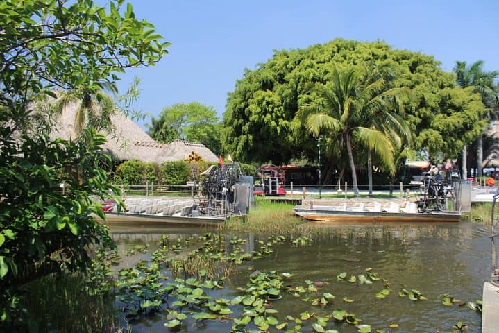 Everglades and Miami Small-Group Tour with Expert Guide — Day Trip from Miami photo 3