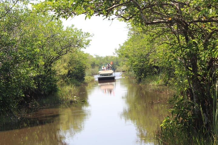 Everglades and Miami Small-Group Tour with Expert Guide — Day Trip from Miami photo 4