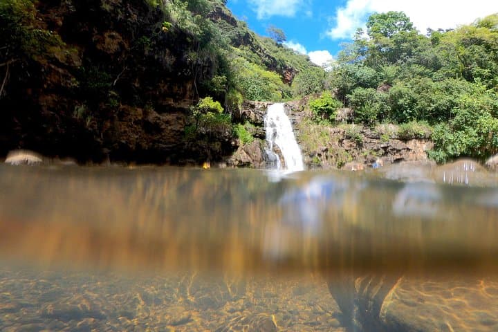Oahu Private Circle Island Tours — Full & Mini Circle Island Experience photo 3