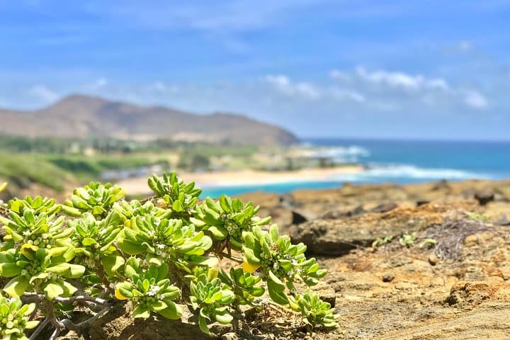 Oahu Private Circle Island Tours — Full & Mini Circle Island Experience