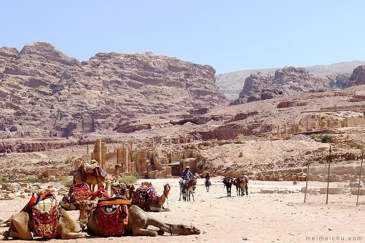 One-Day Petra and Wadi Rum from Amman: Petra, Desert Jeeps & The Martian Sites photo 5