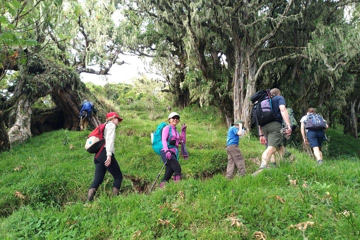 4-Day Mount Meru Trek: Summit Socialist Peak via Miriakamba & Saddle Huts photo 2