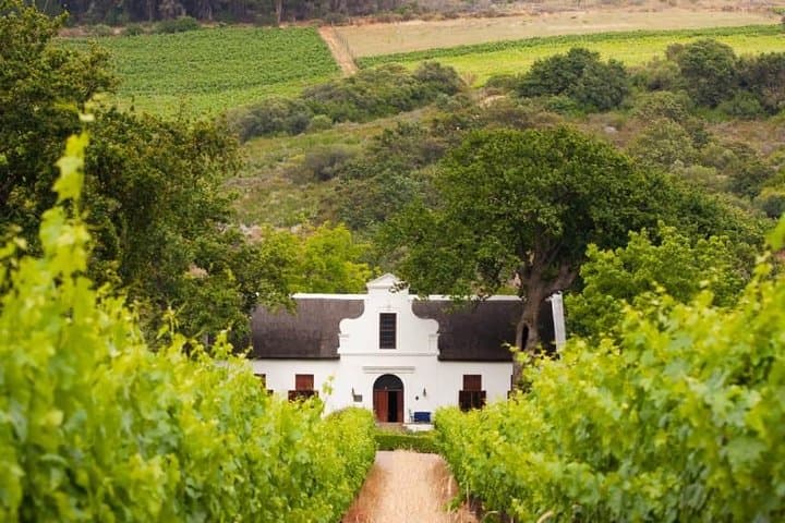 Cape Winelands Wine Tasting Full-Day Tour — Stellenbosch & Franschhoek photo 2
