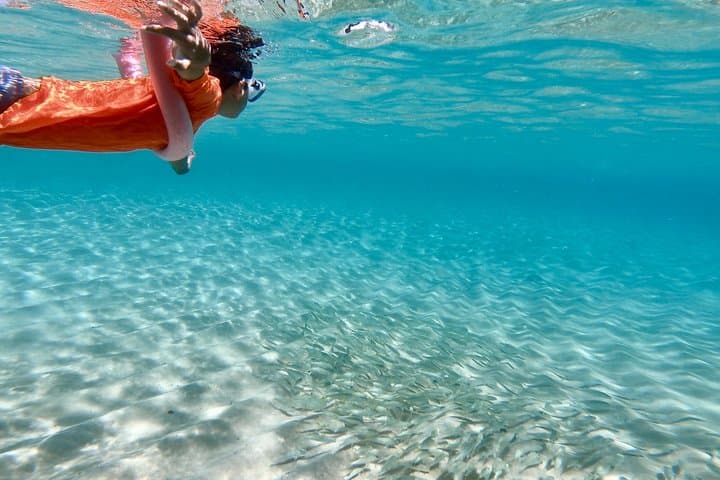 Private North Shore Oahu Tour — Personalized Seven Mile Miracle Highlights photo 2