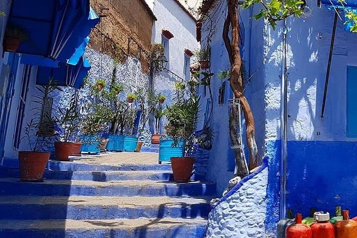 Chefchaouen Day Trip from Fez: Blue Medina, Kasbah & Rif Views photo 3