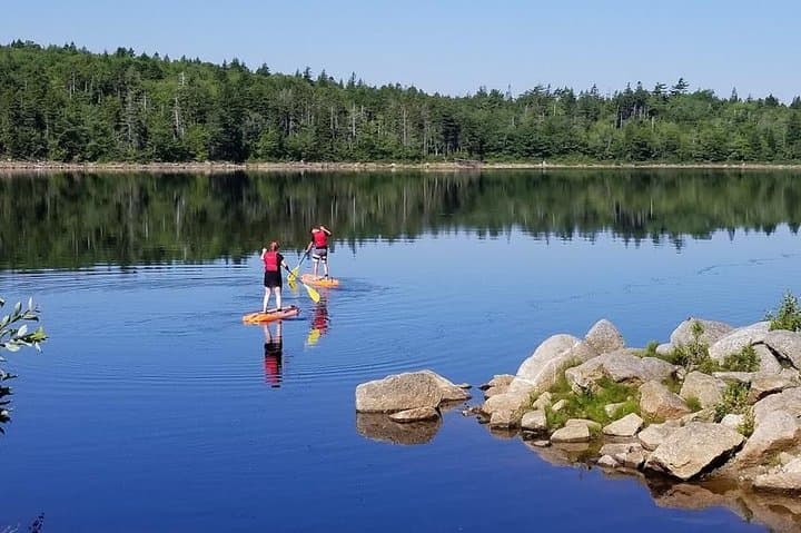 Stand-Up Paddle Boarding on Long Lake: SUP Rentals Near Halifax photo 4