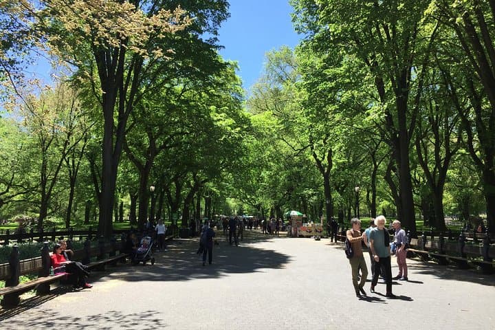 Central Park Guided Walking Tour: Highlights, History & Practical Tips photo 5