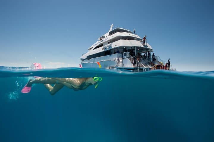 3-Day Great Barrier Reef, Daintree & Chillagoe Caves Adventure from Cairns photo 3