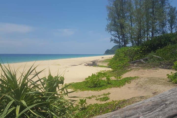 Shoreline Cruise to a Secluded Beach near Khao Lak photo 2
