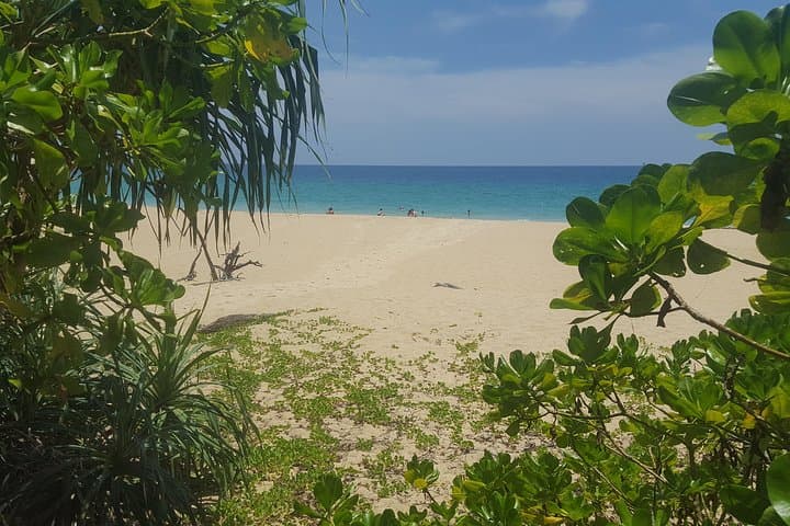 Shoreline Cruise to a Secluded Beach near Khao Lak photo 3