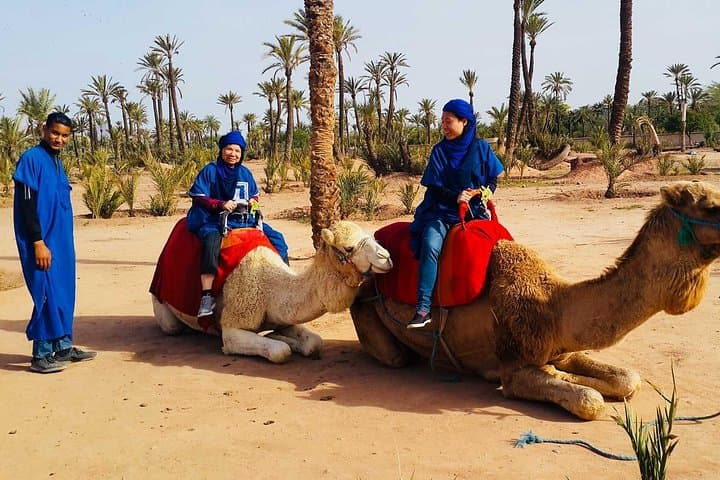 Half-Day Camel Ride in Marrakech Palmeraie — Palm Groves, Berber Tea & Easy Trek photo 4