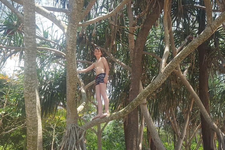 Shoreline Cruise to a Secluded Beach near Khao Lak photo 5