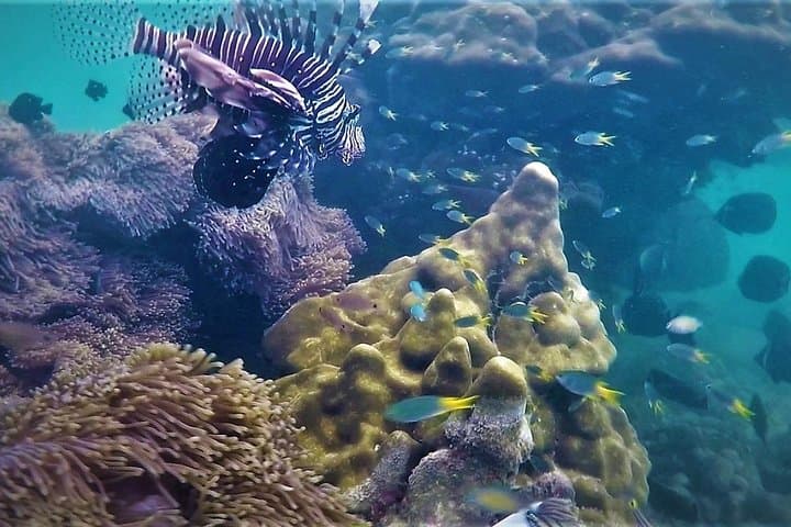 Khao Lak Local Reef Snorkelling & Deserted Beach — Quiet Coral, Hidden Bays